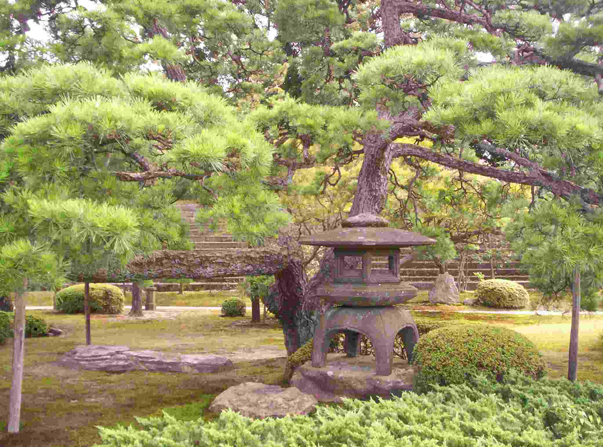 shogun castle grounds image